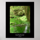 Search for rain forests posters Nature