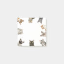 Search for funny cat post it notes Siamese