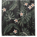Search for exotic shower curtains Summer