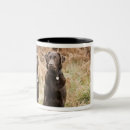 Search for black labrador retriever mugs Nature