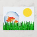 Search for nowruz postcards Goldfish