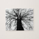 Search for black and white tree puzzles Photograph