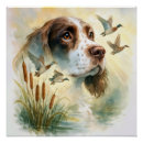 Search for mallard duck painting posters Watercolor