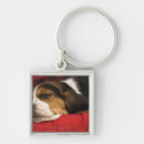Search for alberta canada key rings Nature