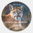 Search for cougar mountain lion stickers Animal