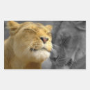 Search for lion love stickers Lions