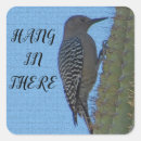 Search for desert wildlife stickers Southwest
