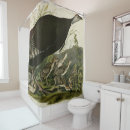 Search for female shower curtains Bird