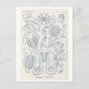 Search for comb postcards Illustration
