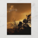 Search for x ray art postcards Nature