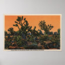 Search for view with trees posters Lantern