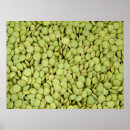 Search for cooked vegetables posters Agriculture