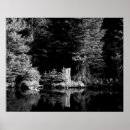 Search for stump posters Photograph