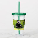 Search for panda tumblers Bear