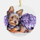Search for yorkie angel Pets