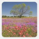 Search for spring wildflower stickers Meadow