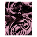 Search for some posters Roses