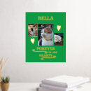 Search for memorial cats posters Pets