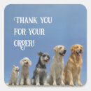 Search for dog owner stickers Poodle
