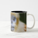 Search for brown eyes mugs Nature