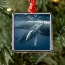 Search for underwater christmas tree decorations Sea