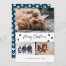 Search for three cats christmas cards Pet