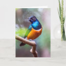 Search for limb cards Nature