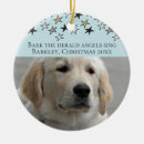 Search for animal star christmas tree decorations Pet