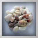 Search for pebble posters Summer