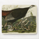 Search for wild birds mouse mats Audubon