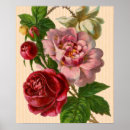 Search for colourful floral pattern posters Roses