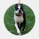 Search for dog run christmas tree decorations Canine