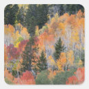 Search for provo stickers Autumn