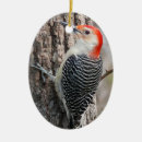 Search for red cardinal bird christmas tree decorations Forest