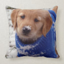 Search for golden retriever cushions Puppy