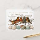 Search for bird eggs postcards Robin