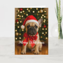 Search for frenchies cards Frenchie puppy
