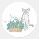 Search for white cat stickers Kitten