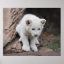 Search for kid lion art Cute