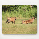 Search for kit mouse mats Wildlife