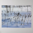 Search for quebec posters Nature