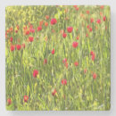 Search for poppy coasters Field