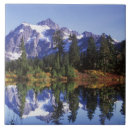 Search for scenic tiles Pacific northwest