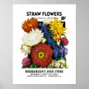 Search for straws posters Vintage