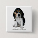 Search for puppy square badges Beagle