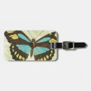 Search for bug collage accessories Bugs
