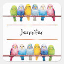 Search for green bird stickers Budgie