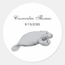 Search for sea cow stickers Florida