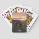 Search for icelandic horse Souvenir