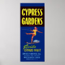 Search for citrus fruit posters Food